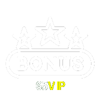 65VIP